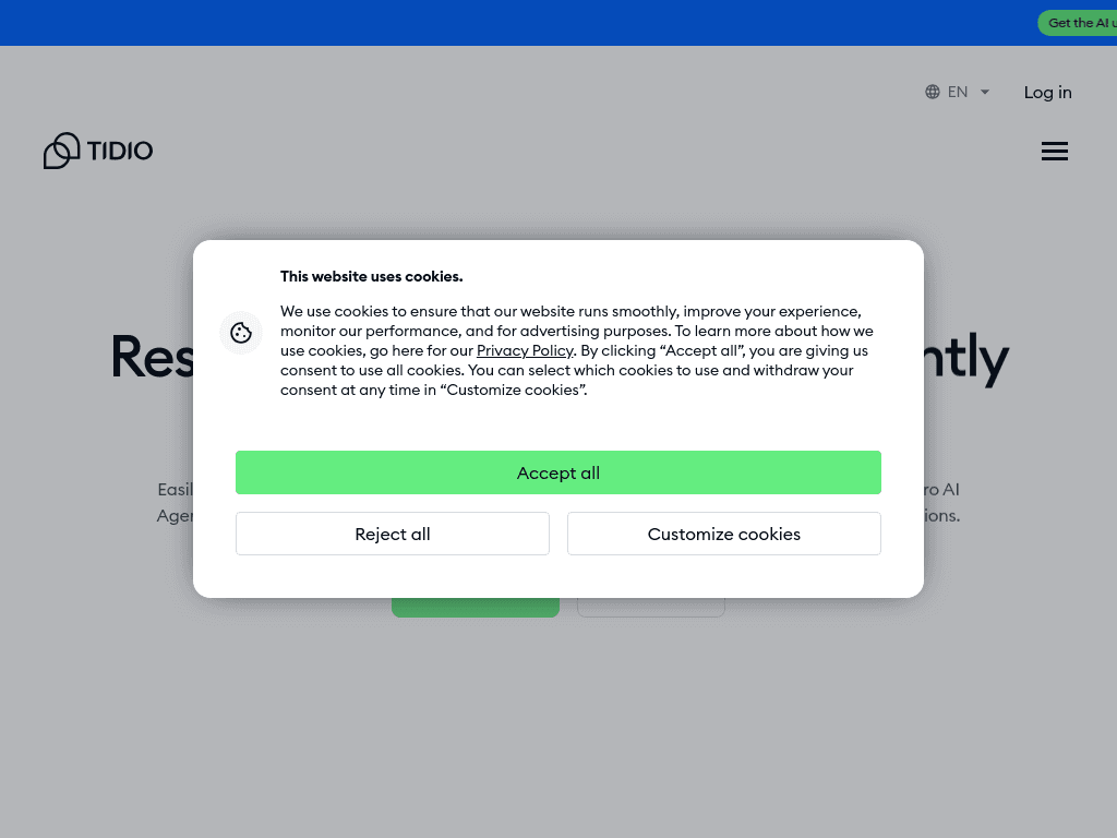 Tidio screenshot