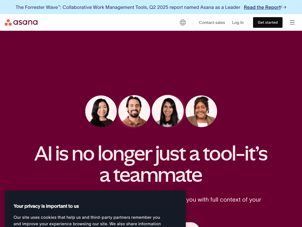 Asana AI screenshot