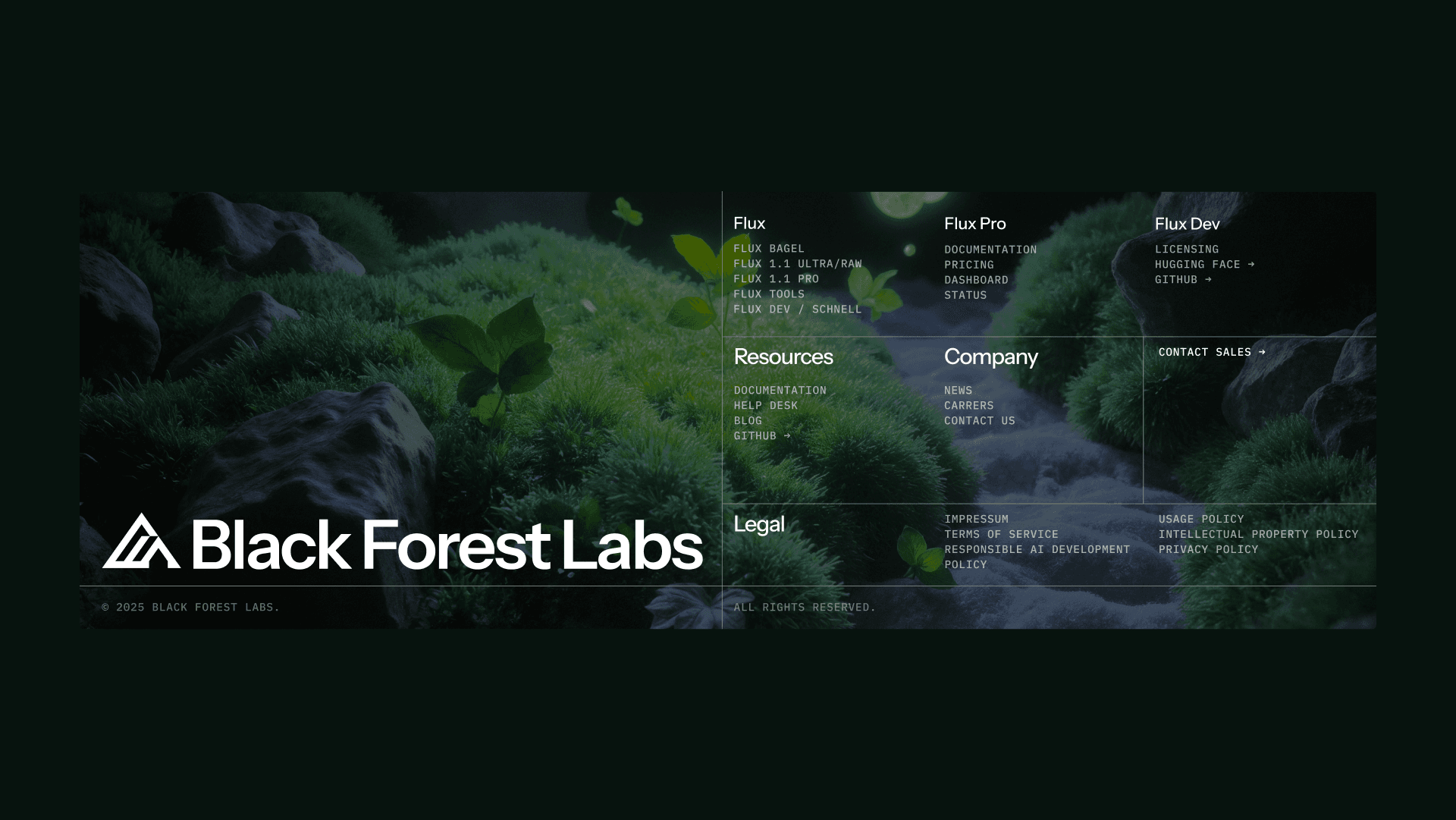 Black Forest Labs: Raising the Bar for Visual AI