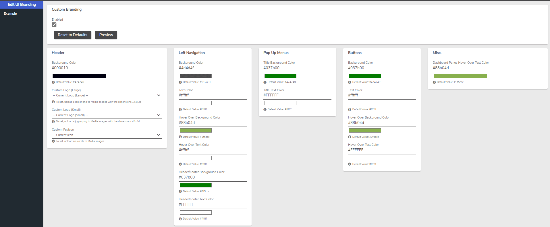 Module 1.3 — User Interface Branding