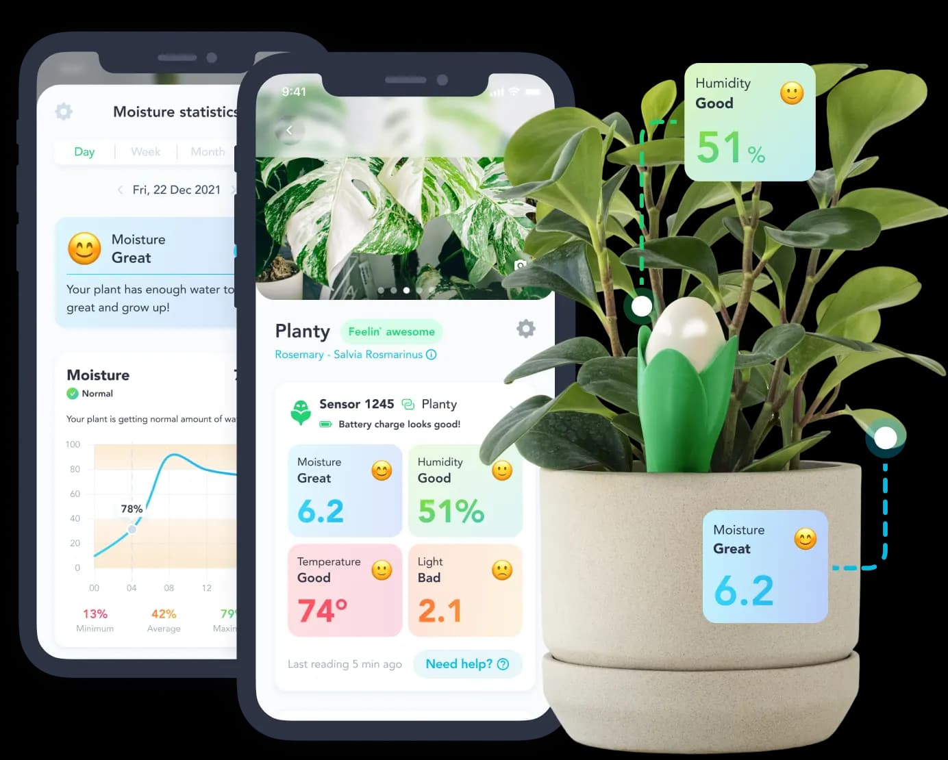 Get The Best Plant Care