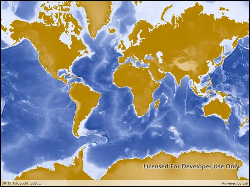 ArcGIS map image layer