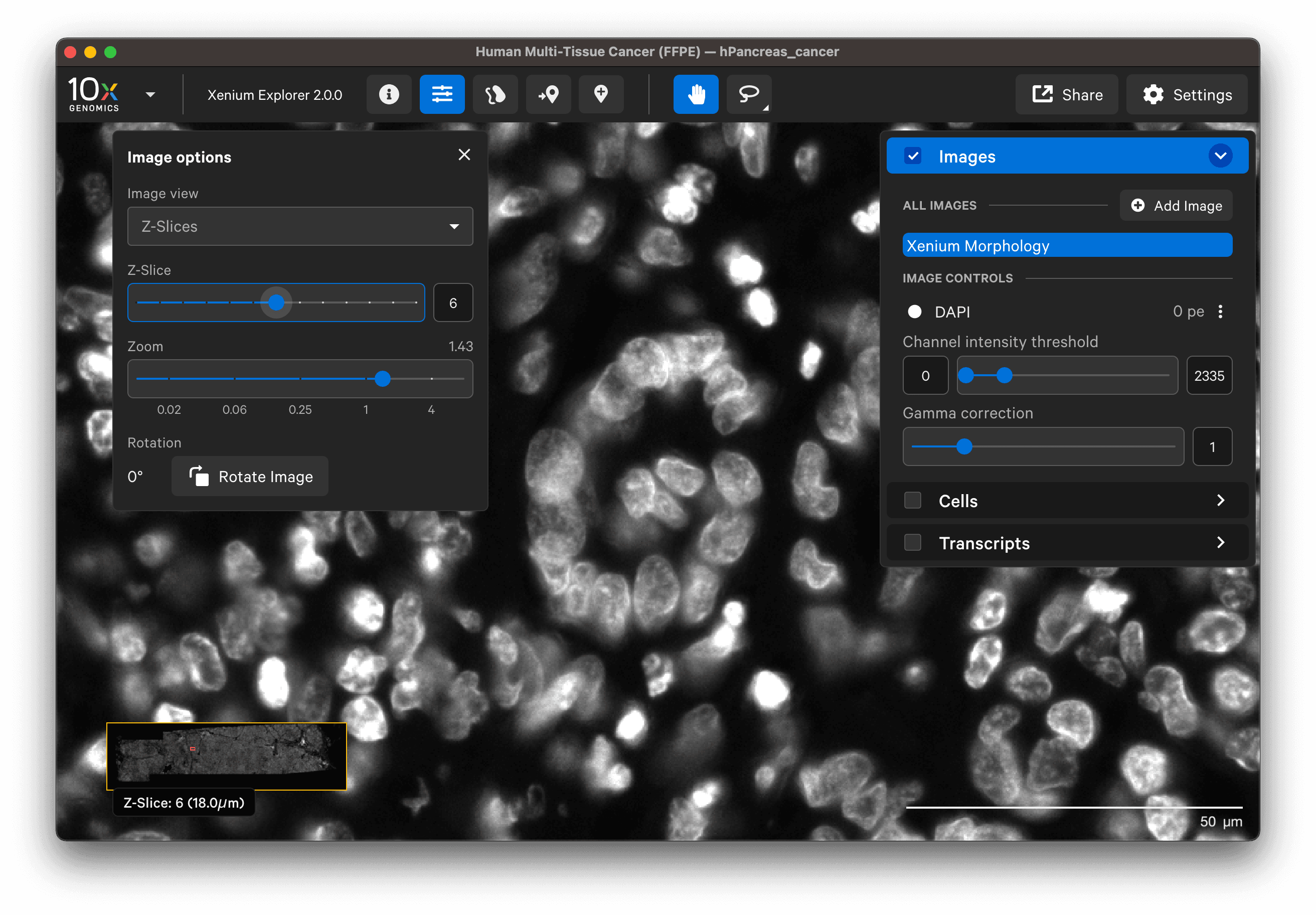 Navigate Image Layer