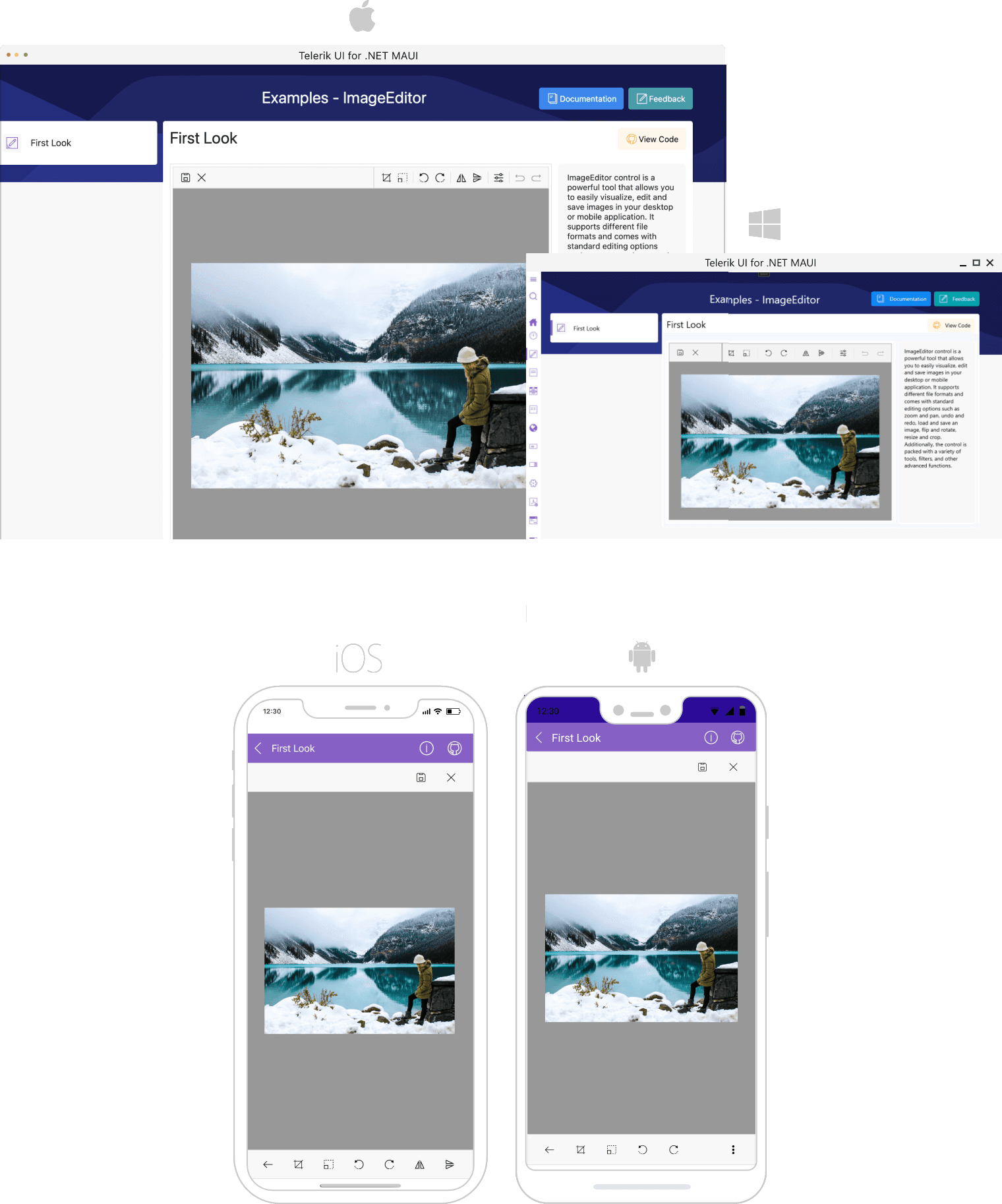 NET MAUI ImageEditor Overview