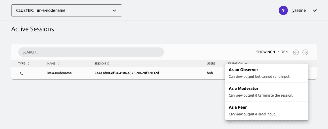 Using the Web UI