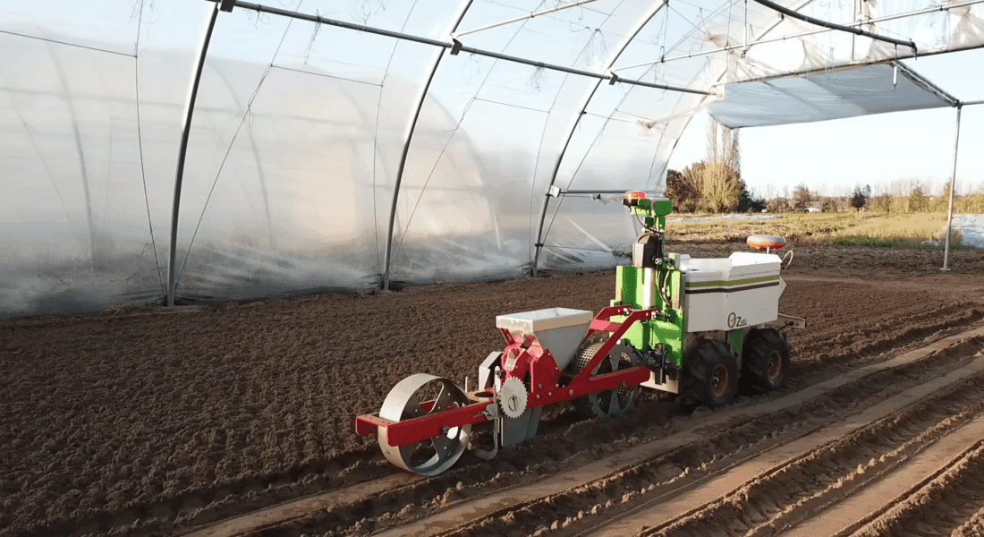 Oz gets sowing!