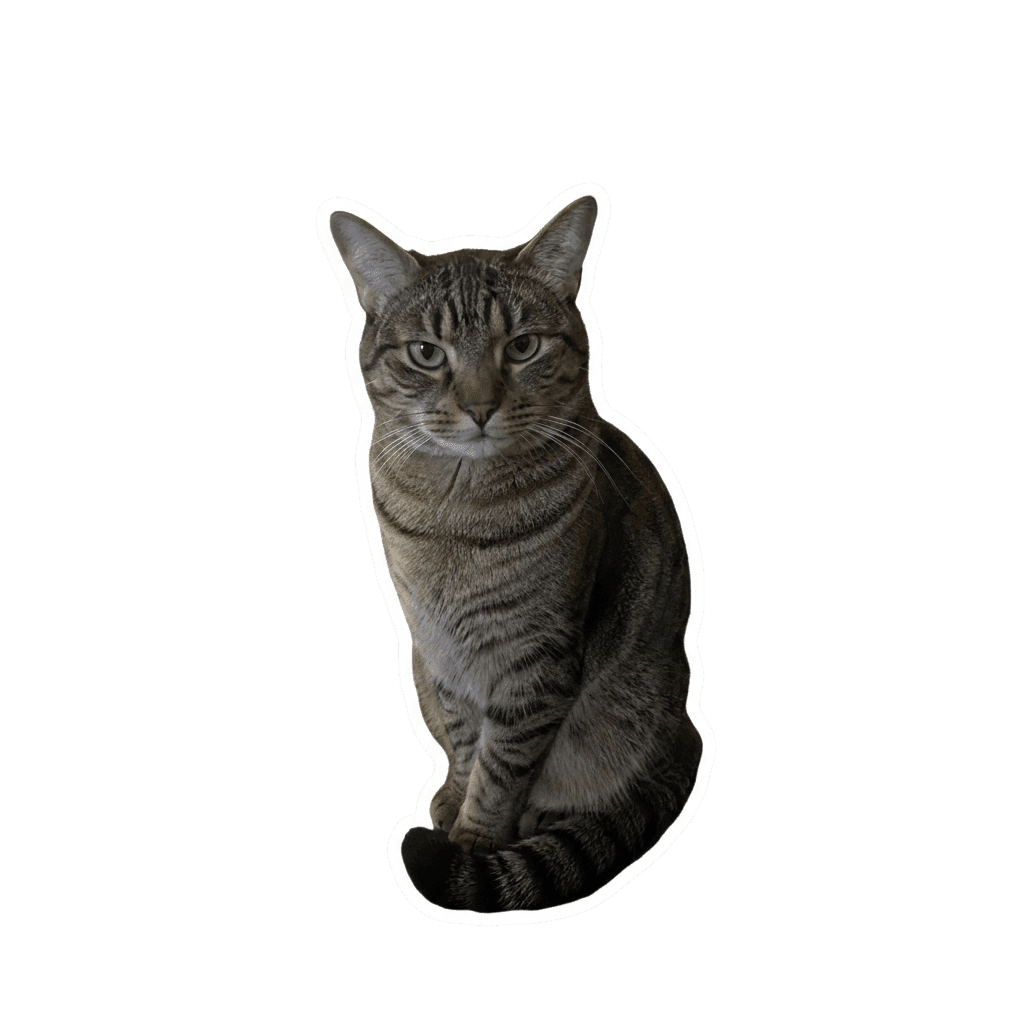 Meme Sticker Maker Online