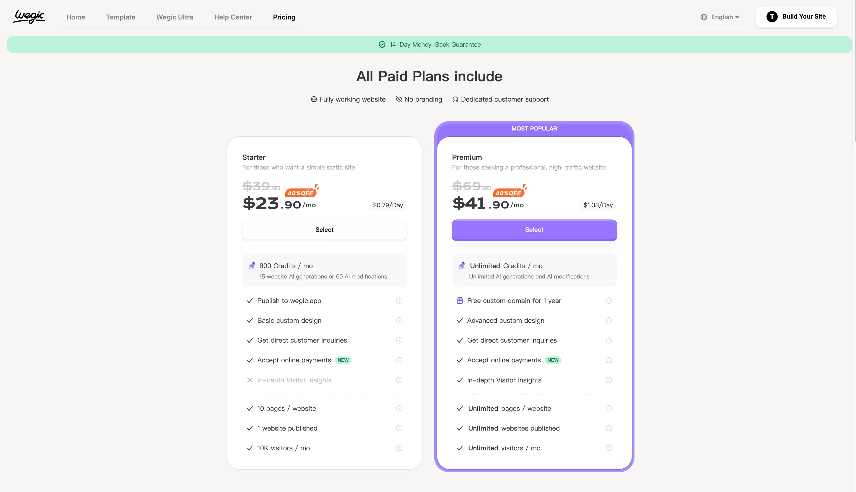 Wegic's Pricing Strategy: Affordable Web Design for Everyone